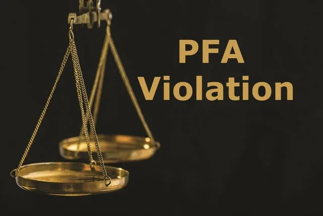 Wyoming Boro council member charged with second PFA violation